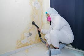 Best Biohazard Mold Removal  in Pine Island, MN